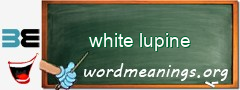 WordMeaning blackboard for white lupine